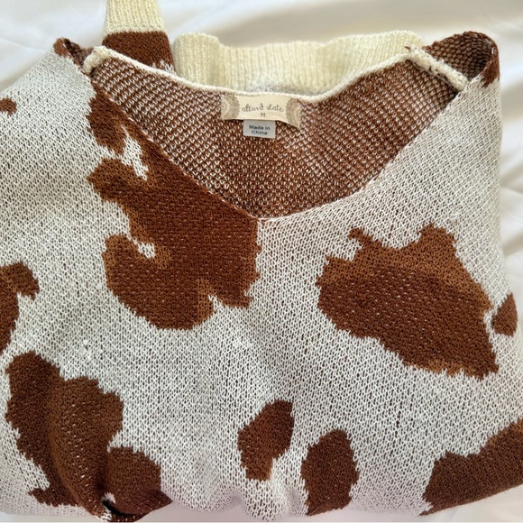 Altar'd State Cream and Brown Knit Sweater - Picture 6 of 6